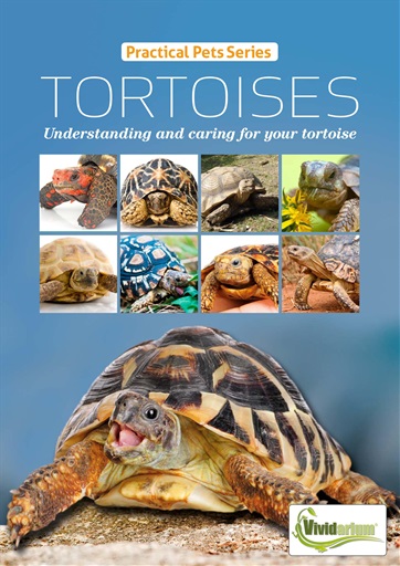 Practical Reptile Keeping Magazine - TORTOISES Understanding and caring ...