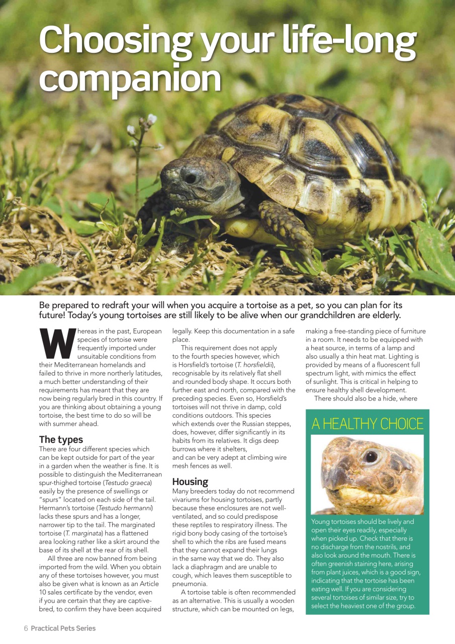 Practical Reptile Keeping Magazine - TORTOISES Understanding and caring ...