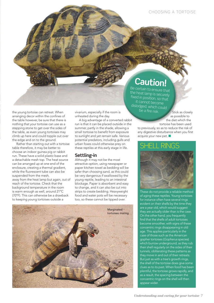 Practical Reptile Keeping Magazine - TORTOISES Understanding and caring ...