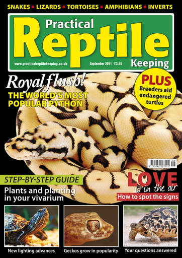 Practical Reptile Keeping Magazine - No.28 Popular Python Back Issue