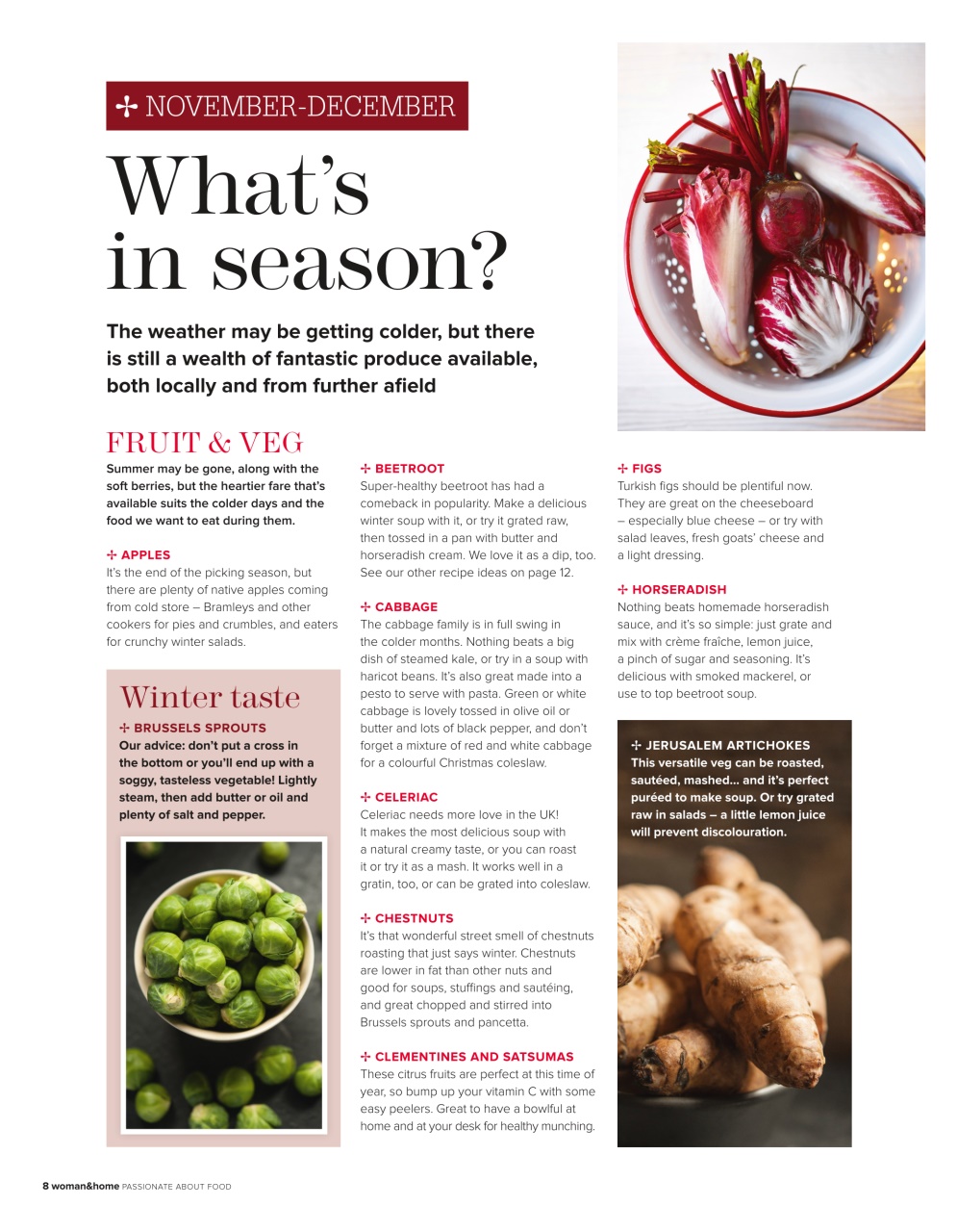 Woman & Home Feel Good Food Magazine Christmas 14 Subscriptions