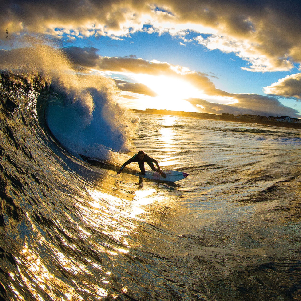 Surfing Books Subscriptions and Advanced Surf Fitness For High