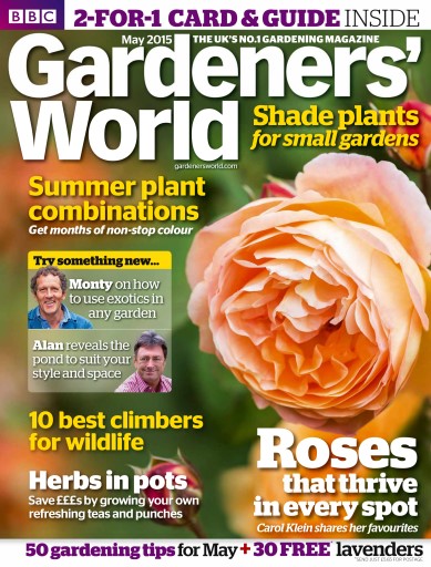 Ponds in Shady Gardens  BBC Gardeners World Magazine